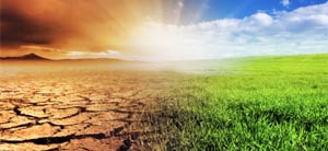 Cambiamenti climatici